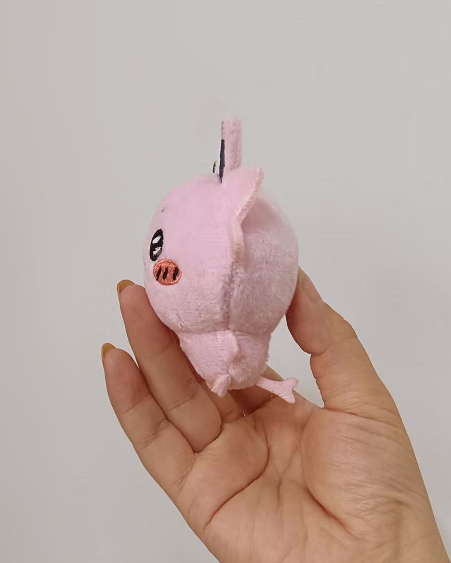 Preorder!! Silly Poke Plushies!!