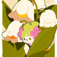 Shaymin Lily of the valley | TCG card sleeves