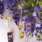 Summer Windbell | Strawberry, evening and night