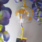 Summer Windbell | Strawberry, evening and night